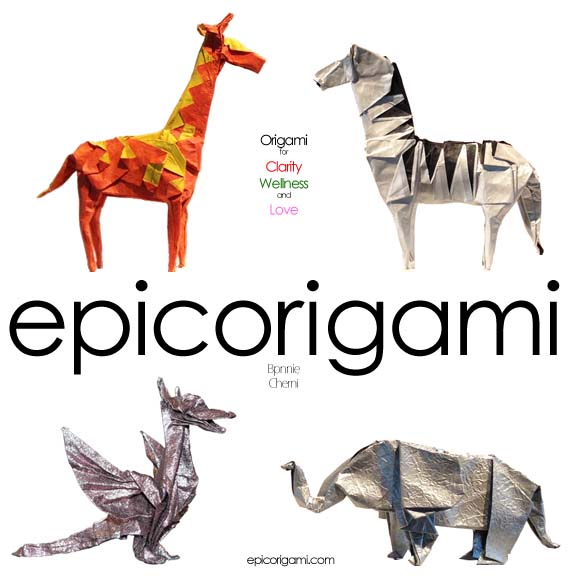 Picture of Origami Book